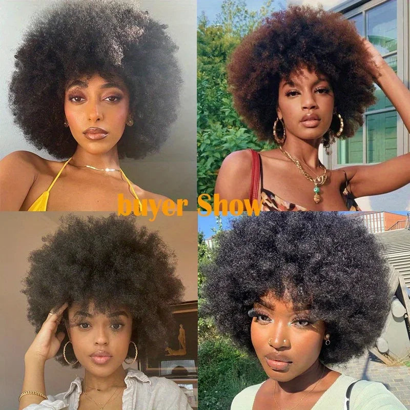 Top Short Afro Wig – Brazilian Kinky Curly Human Hair