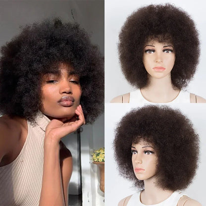 Top Short Afro Wig – Brazilian Kinky Curly Human Hair