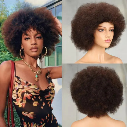 Top Short Afro Wig – Brazilian Kinky Curly Human Hair